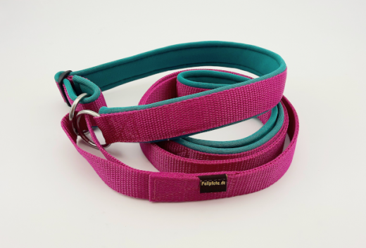 Agiliti-Leine 2,5 cm breit, Leinenlnge 1,2 m