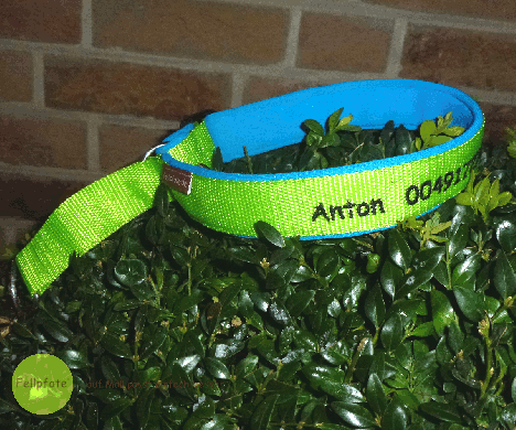 1,5 cm breit - Zug-Stopp Halsband bestickt