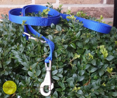 2 Meter Verstell-Leine 2,5 cm breit in vielen Farben