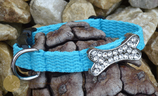 Armband im Halsband Design