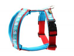 F�hrgeschirr mit Borte