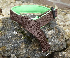 2 cm breit - Zug-Stopp Halsband unbestickt